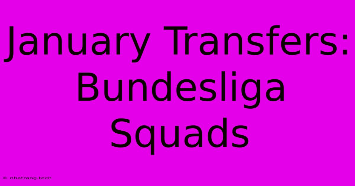 January Transfers: Bundesliga Squads January Transfers: Bundesliga Squads