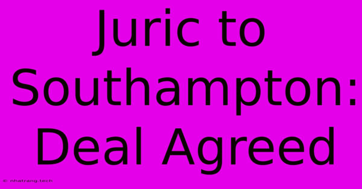 Juric To Southampton: Deal Agreed Juric To Southampton: Deal Agreed