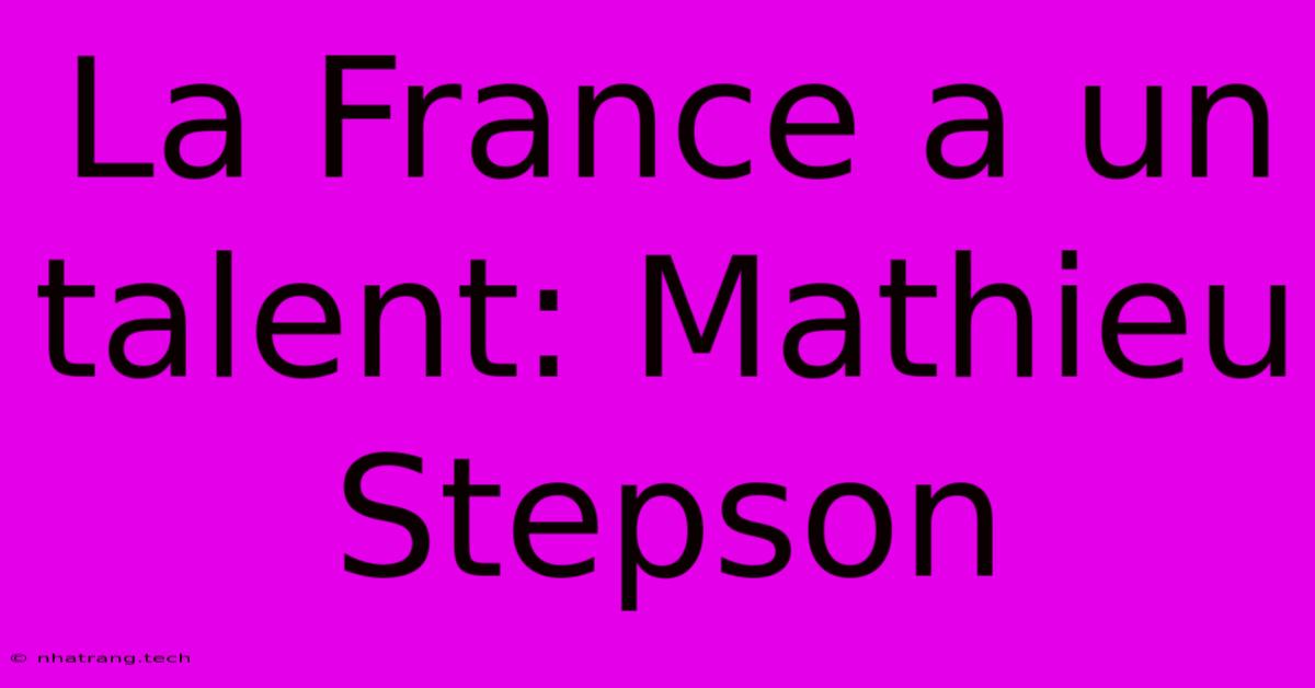 La France A Un Talent: Mathieu Stepson La France A Un Talent: Mathieu Stepson