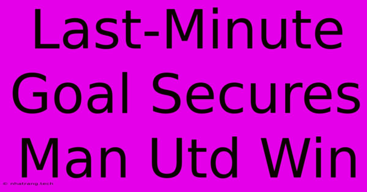 Last-Minute Goal Secures Man Utd Win Last-Minute Goal Secures Man Utd Win