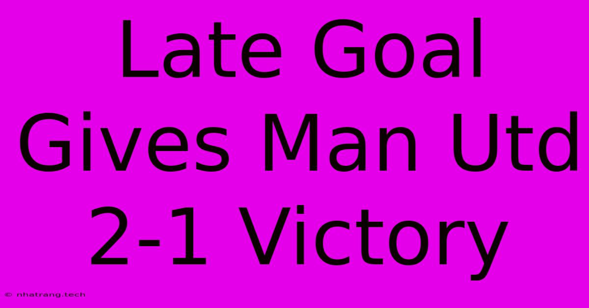 Late Goal Gives Man Utd 2-1 Victory