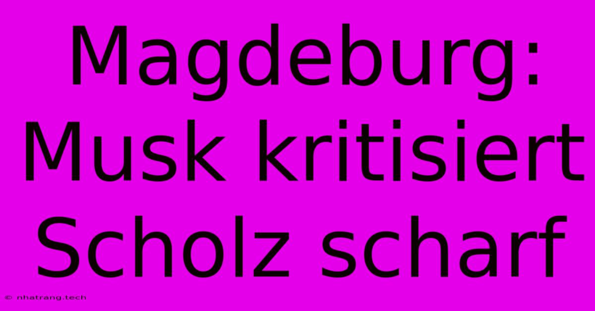 Magdeburg: Musk Kritisiert Scholz Scharf Magdeburg: Musk Kritisiert Scholz Scharf