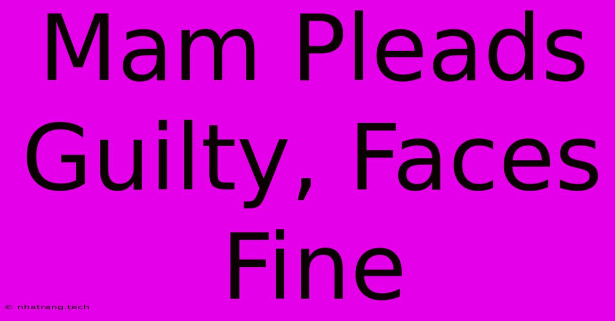 Mam Pleads Guilty, Faces Fine Mam Pleads Guilty, Faces Fine