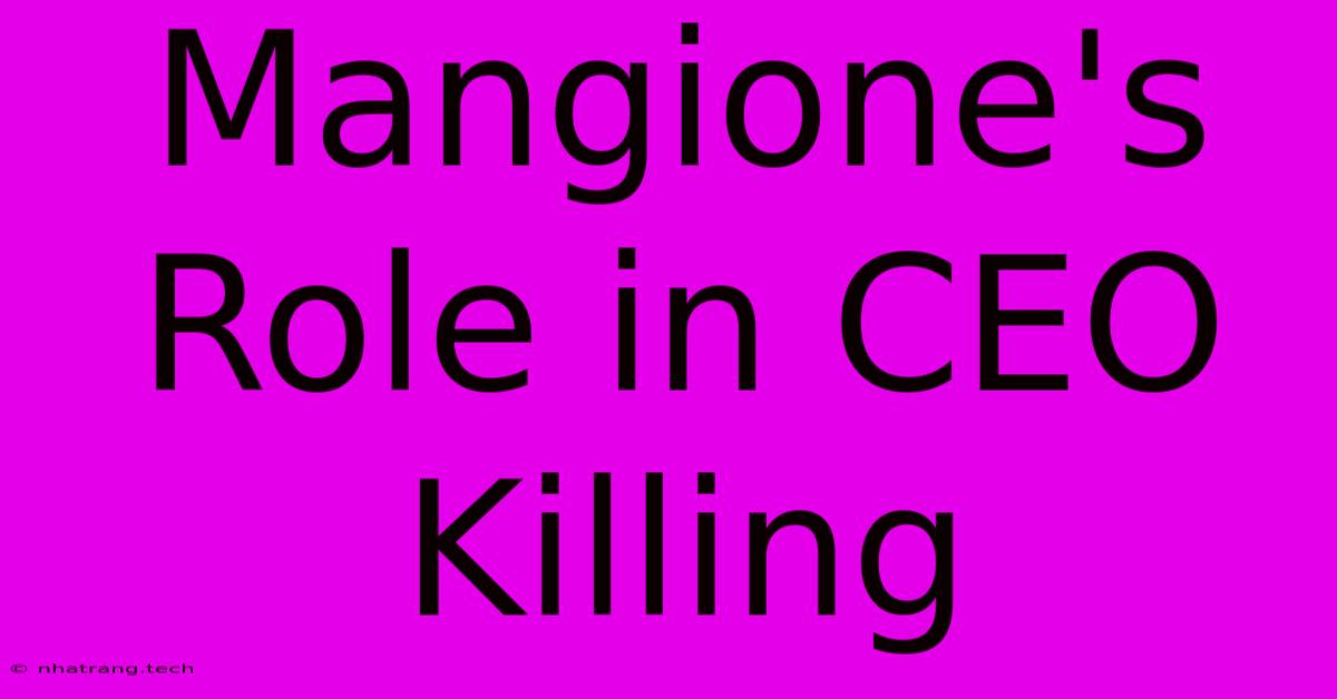 Mangione's Role In CEO Killing Mangione's Role In CEO Killing