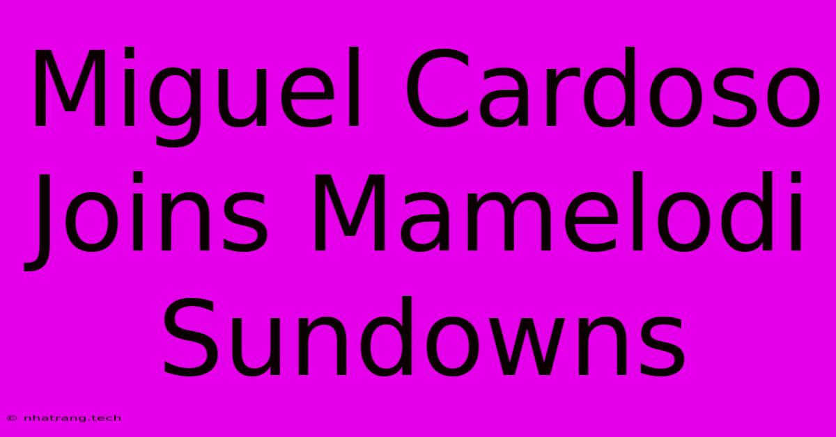 Miguel Cardoso Joins Mamelodi Sundowns Miguel Cardoso Joins Mamelodi Sundowns