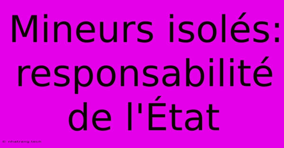 Mineurs Isolés: Responsabilité De L'État Mineurs Isolés: Responsabilité De L'État