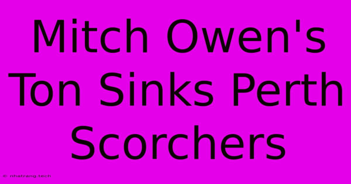 Mitch Owen's Ton Sinks Perth Scorchers Mitch Owen's Ton Sinks Perth Scorchers