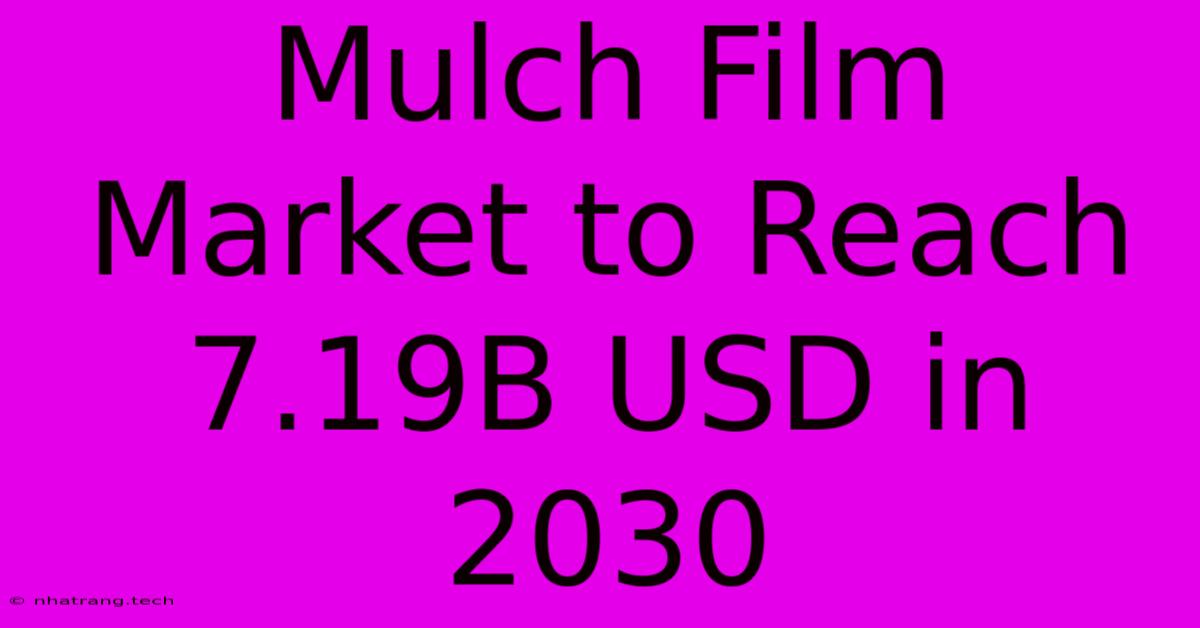 Mulch Film Market To Reach 7.19B USD In 2030 Mulch Film Market To Reach 7.19B USD In 2030