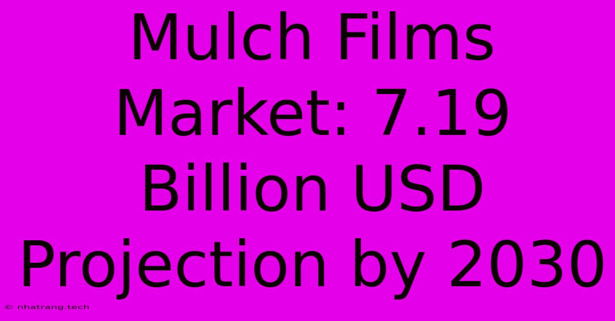 Mulch Films Market: 7.19 Billion USD Projection By 2030 Mulch Films Market: 7.19 Billion USD Projection By 2030