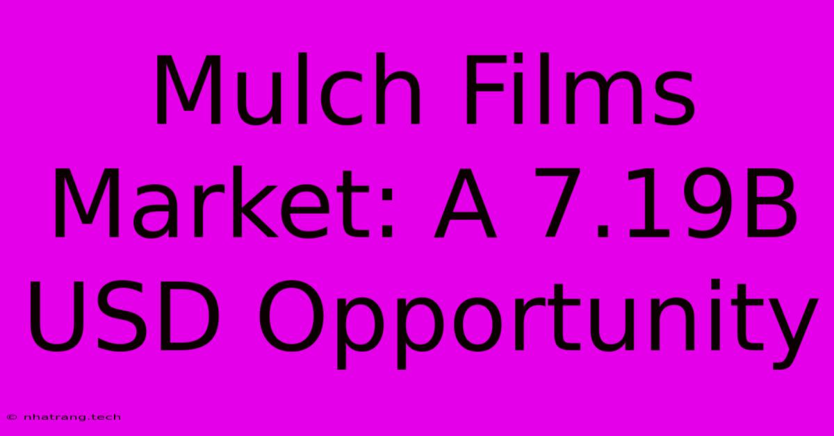 Mulch Films Market: A 7.19B USD Opportunity Mulch Films Market: A 7.19B USD Opportunity