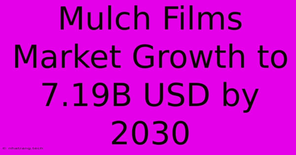 Mulch Films Market Growth To 7.19B USD By 2030 Mulch Films Market Growth To 7.19B USD By 2030
