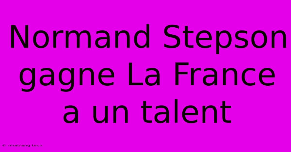 Normand Stepson Gagne La France A Un Talent Normand Stepson Gagne La France A Un Talent