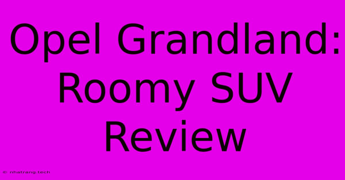 Opel Grandland: Roomy SUV Review Opel Grandland: Roomy SUV Review