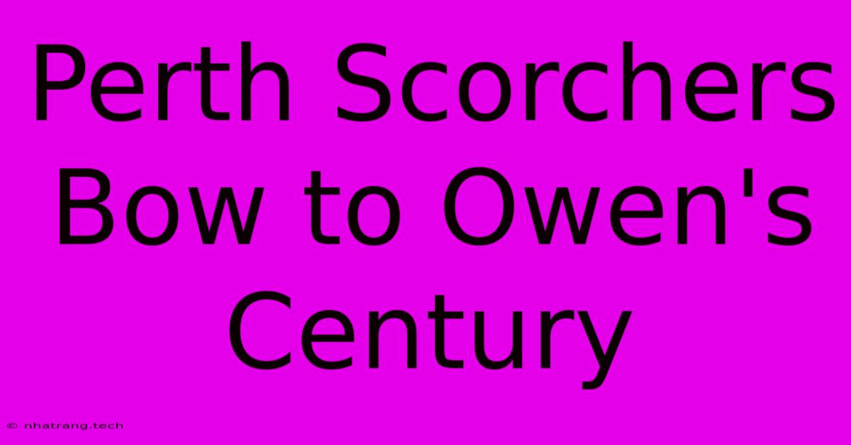 Perth Scorchers Bow To Owen's Century Perth Scorchers Bow To Owen's Century