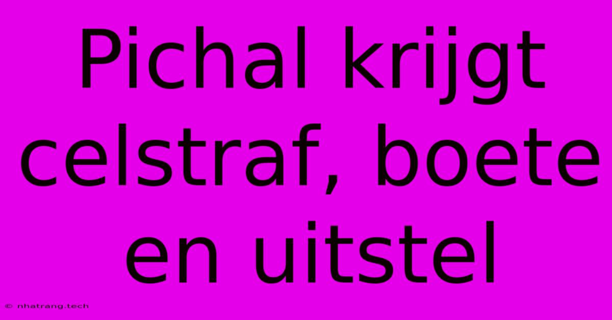 Pichal Krijgt Celstraf, Boete En Uitstel Pichal Krijgt Celstraf, Boete En Uitstel