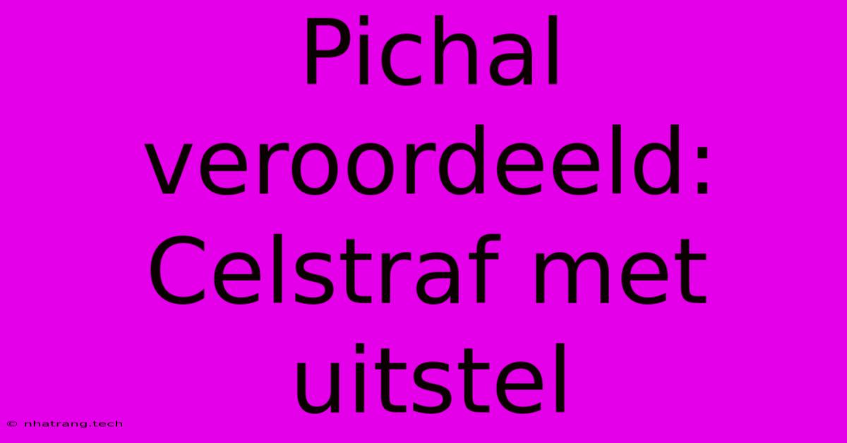 Pichal Veroordeeld: Celstraf Met Uitstel Pichal Veroordeeld: Celstraf Met Uitstel