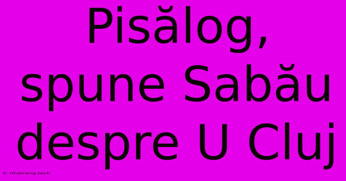 Pisălog, Spune Sabău Despre U Cluj Pisălog, Spune Sabău Despre U Cluj