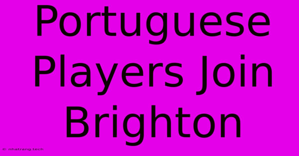 Portuguese Players Join Brighton Portuguese Players Join Brighton