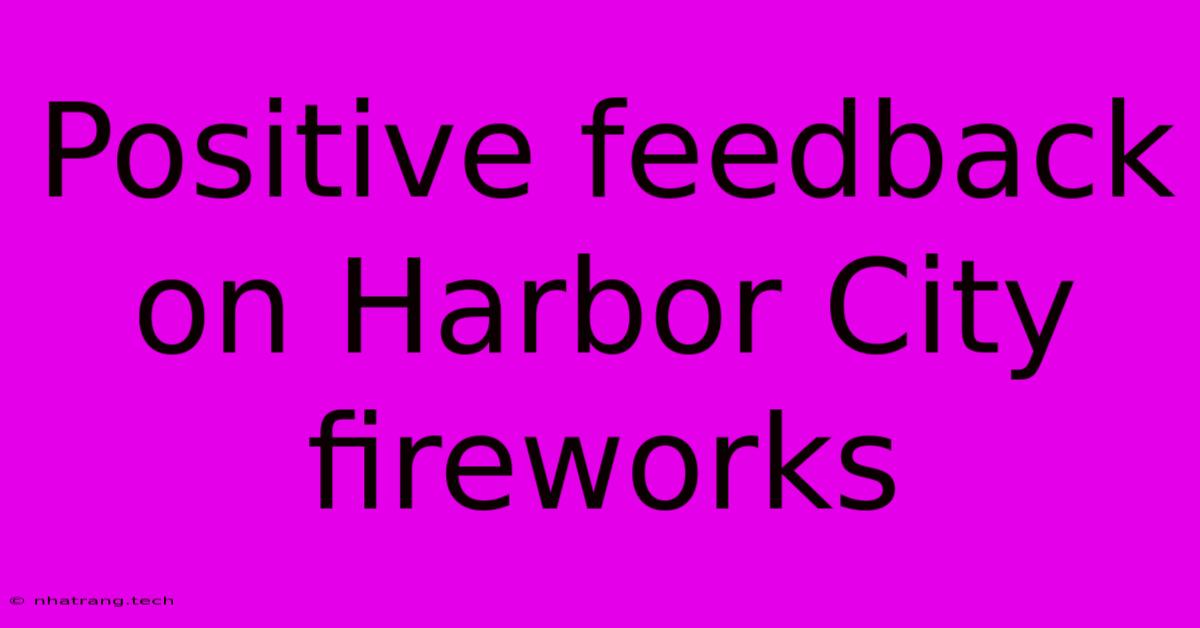 Positive Feedback On Harbor City Fireworks