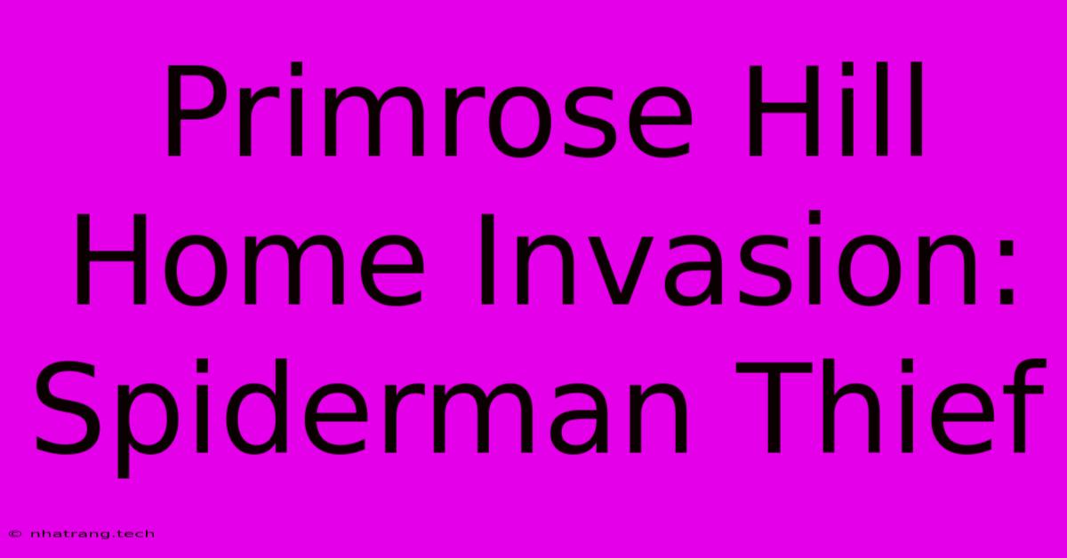 Primrose Hill Home Invasion: Spiderman Thief