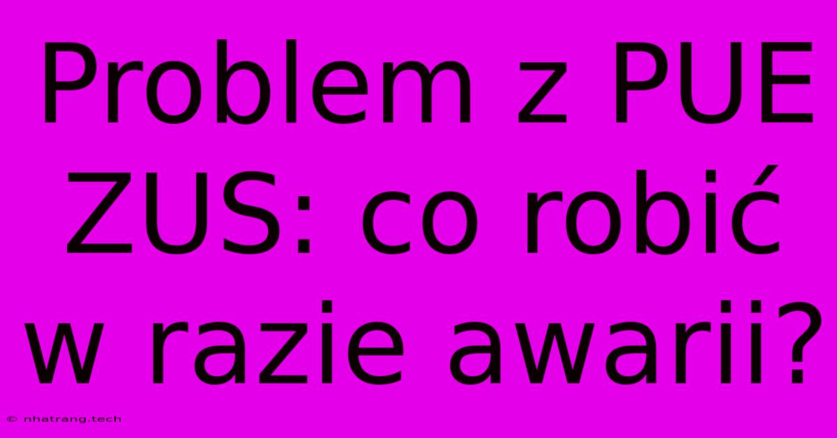 Problem Z PUE ZUS: Co Robić W Razie Awarii? Problem Z PUE ZUS: Co Robić W Razie Awarii?