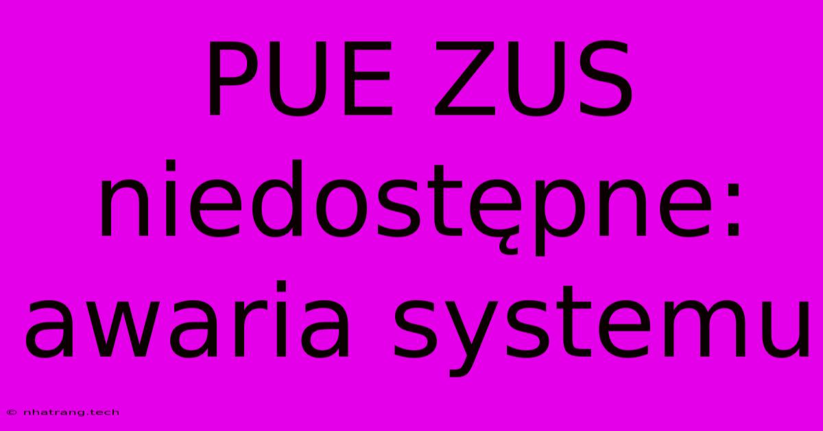 PUE ZUS Niedost臋pne: Awaria Systemu PUE ZUS Niedost臋pne: Awaria Systemu