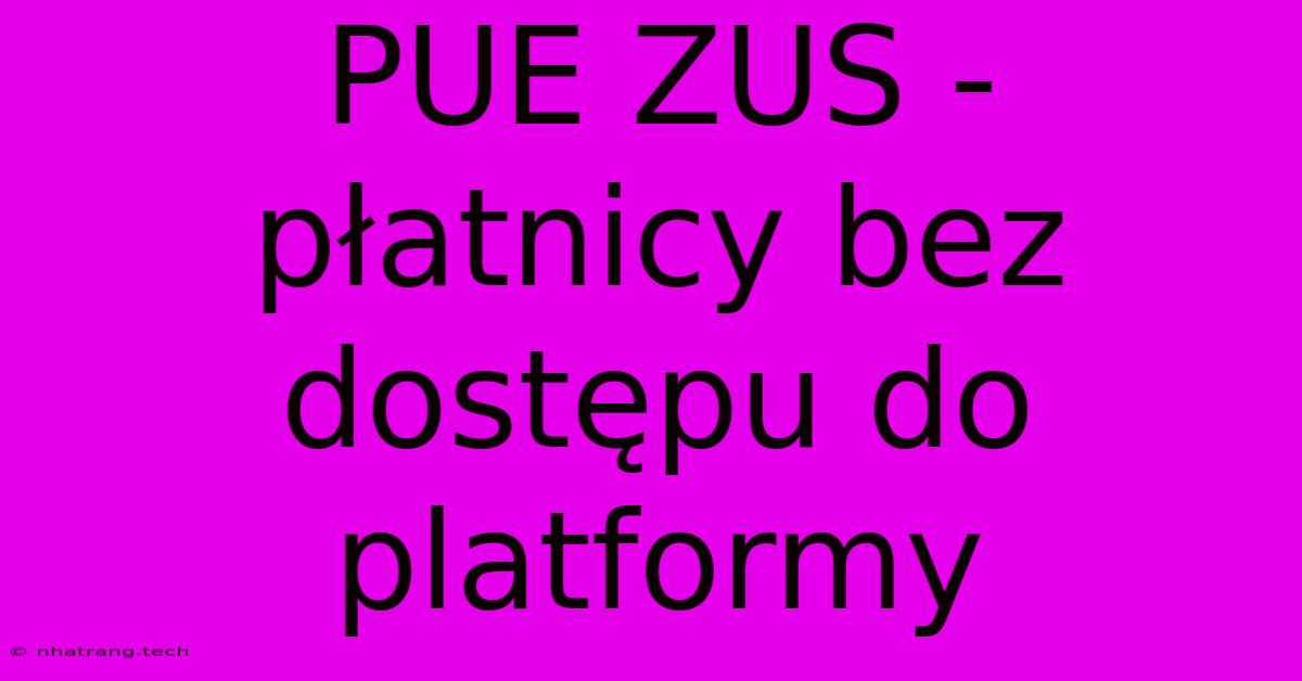 PUE ZUS - Płatnicy Bez Dostępu Do Platformy PUE ZUS - Płatnicy Bez Dostępu Do Platformy