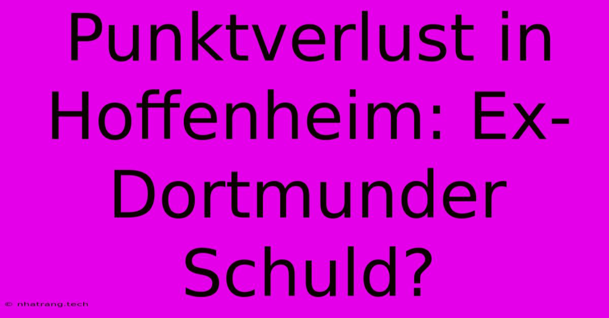 Punktverlust In Hoffenheim: Ex-Dortmunder Schuld? Punktverlust In Hoffenheim: Ex-Dortmunder Schuld?