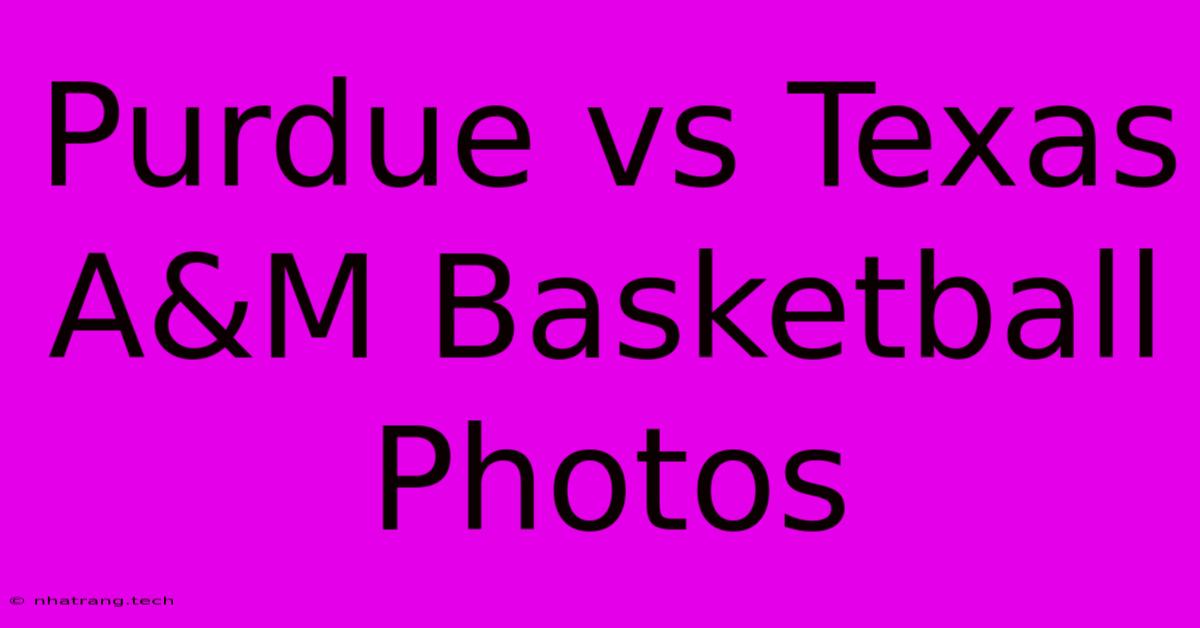 Purdue Vs Texas A&M Basketball Photos Purdue Vs Texas A&M Basketball Photos