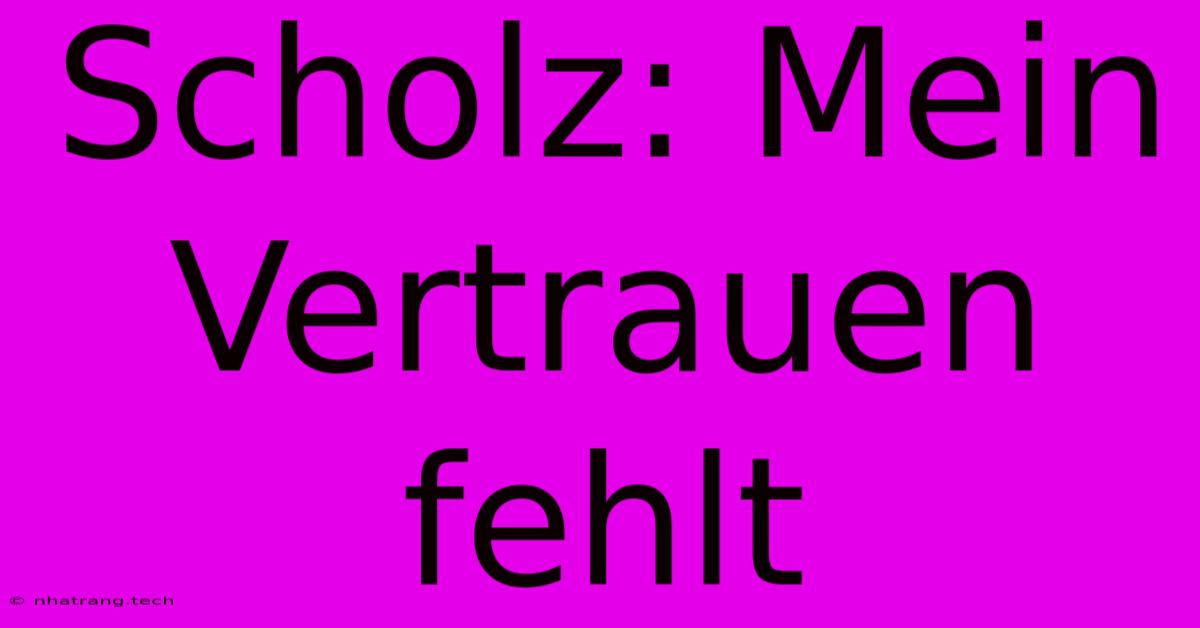Scholz: Mein Vertrauen Fehlt Scholz: Mein Vertrauen Fehlt