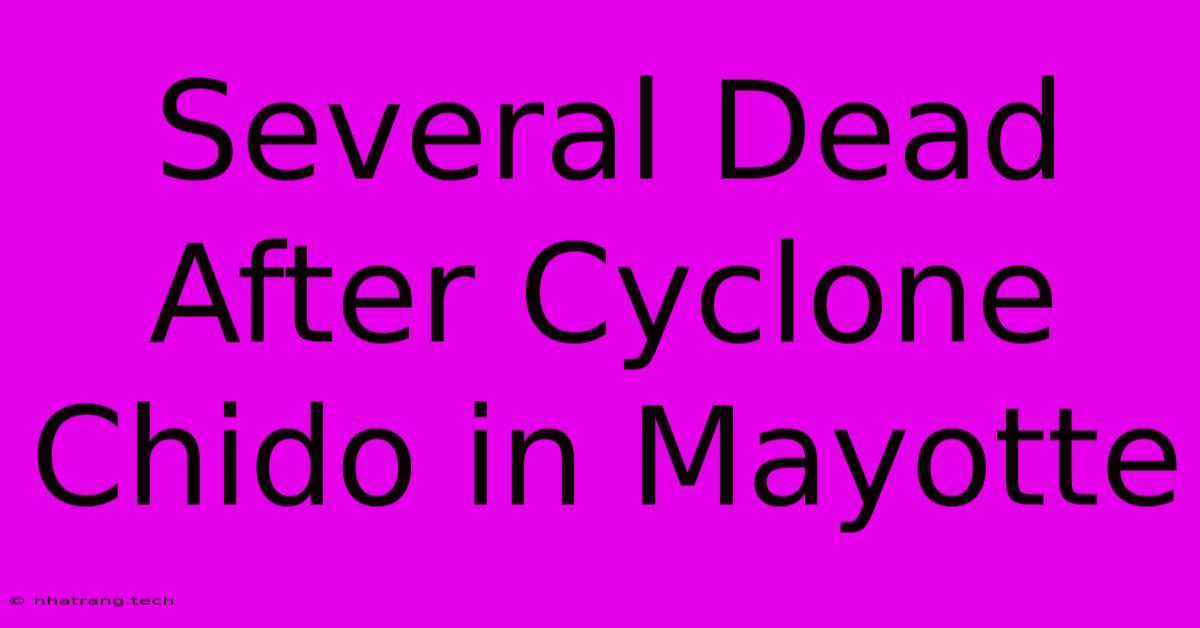 Several Dead After Cyclone Chido In Mayotte Several Dead After Cyclone Chido In Mayotte