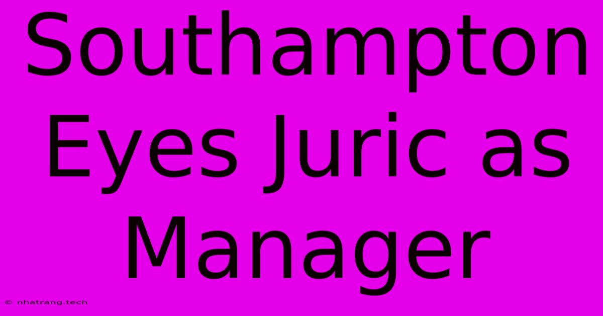 Southampton Eyes Juric As Manager Southampton Eyes Juric As Manager