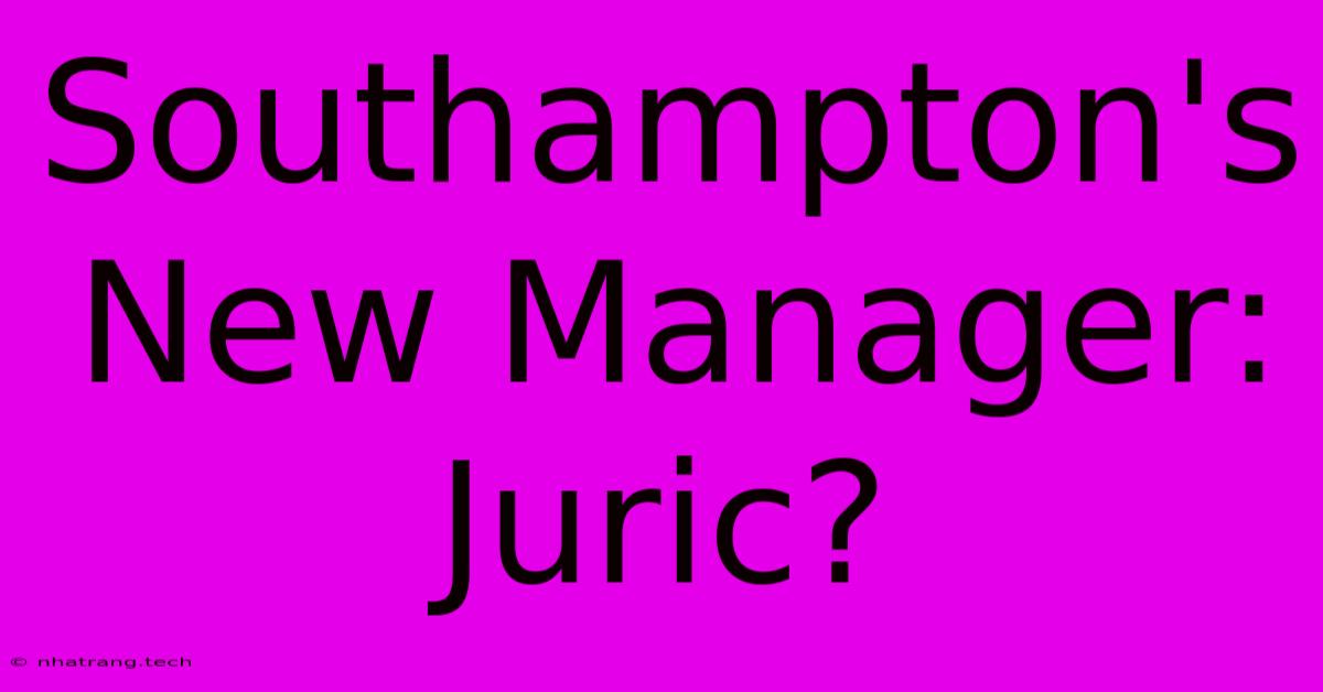 Southampton's New Manager: Juric? Southampton's New Manager: Juric?
