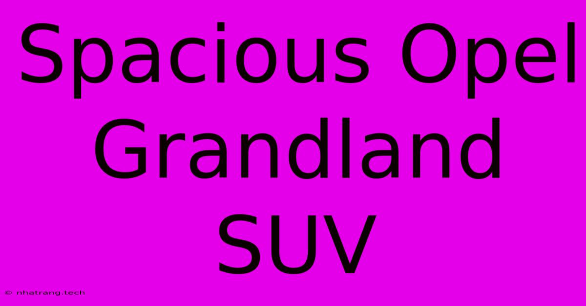 Spacious Opel Grandland SUV Spacious Opel Grandland SUV