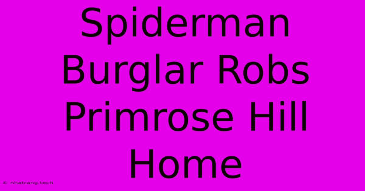 Spiderman Burglar Robs Primrose Hill Home