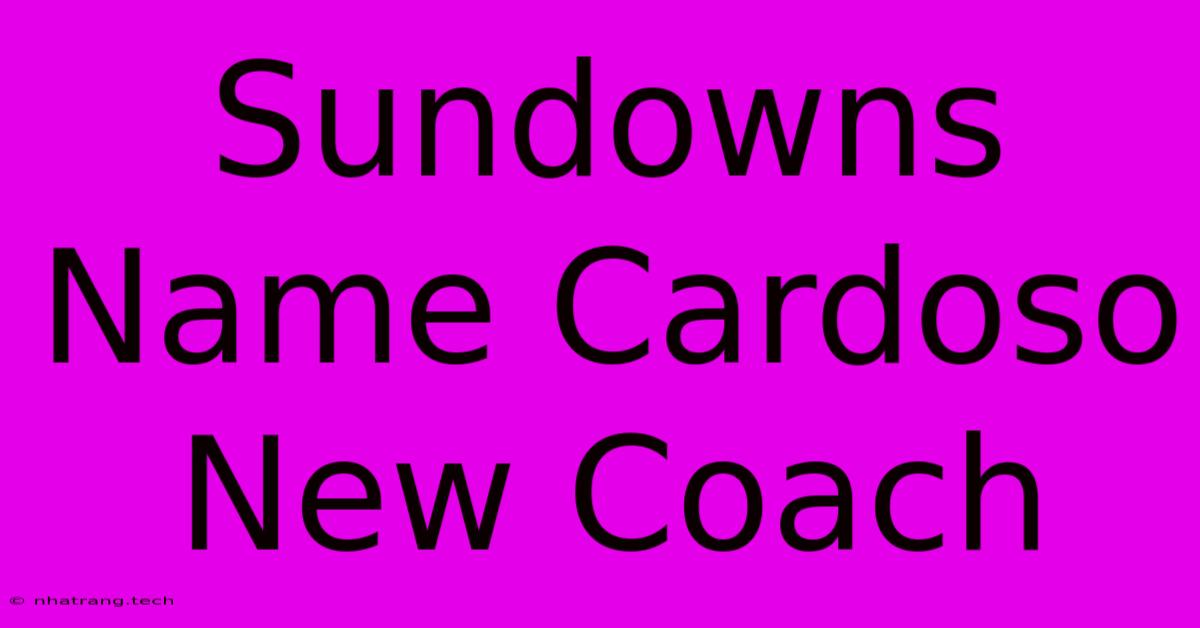 Sundowns Name Cardoso New Coach Sundowns Name Cardoso New Coach