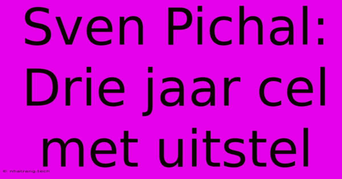 Sven Pichal: Drie Jaar Cel Met Uitstel Sven Pichal: Drie Jaar Cel Met Uitstel