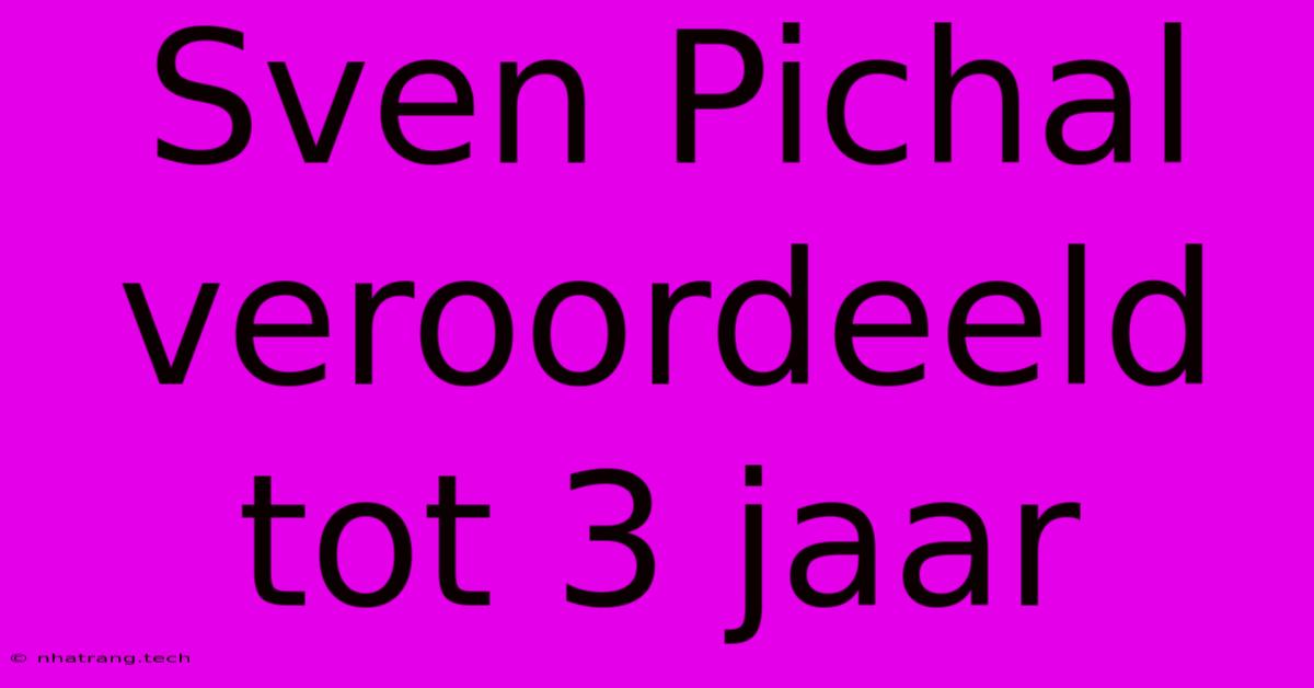 Sven Pichal Veroordeeld Tot 3 Jaar Sven Pichal Veroordeeld Tot 3 Jaar