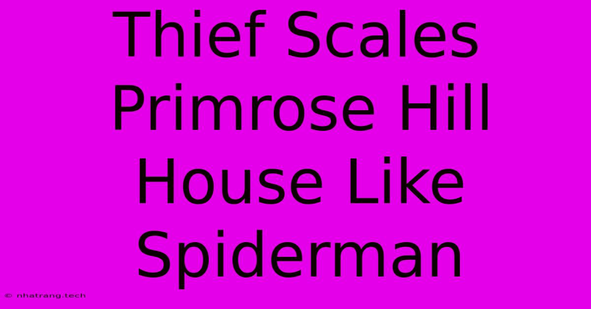 Thief Scales Primrose Hill House Like Spiderman