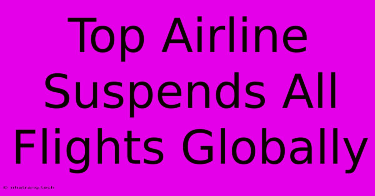 Top Airline Suspends All Flights Globally