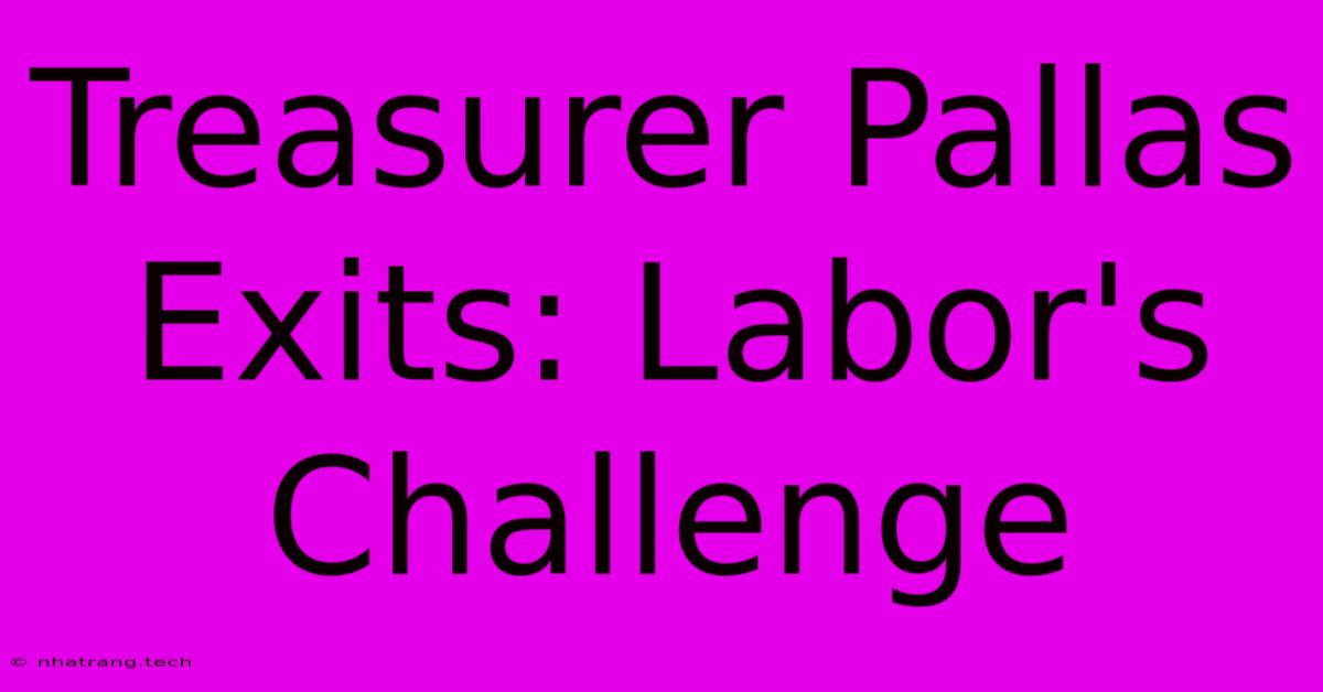 Treasurer Pallas Exits: Labor's Challenge Treasurer Pallas Exits: Labor's Challenge