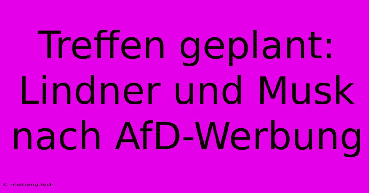 Treffen Geplant: Lindner Und Musk Nach AfD-Werbung Treffen Geplant: Lindner Und Musk Nach AfD-Werbung