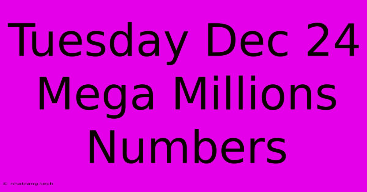 Tuesday Dec 24 Mega Millions Numbers