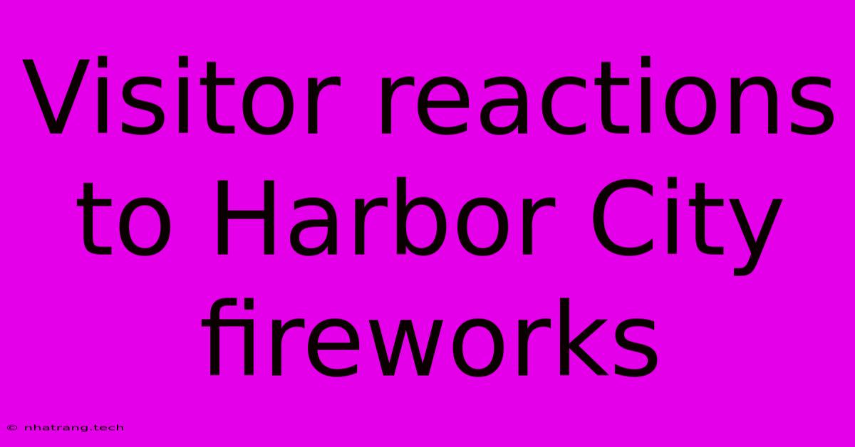 Visitor Reactions To Harbor City Fireworks