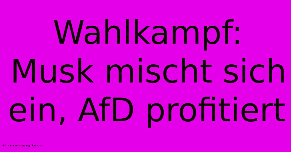 Wahlkampf: Musk Mischt Sich Ein, AfD Profitiert Wahlkampf: Musk Mischt Sich Ein, AfD Profitiert