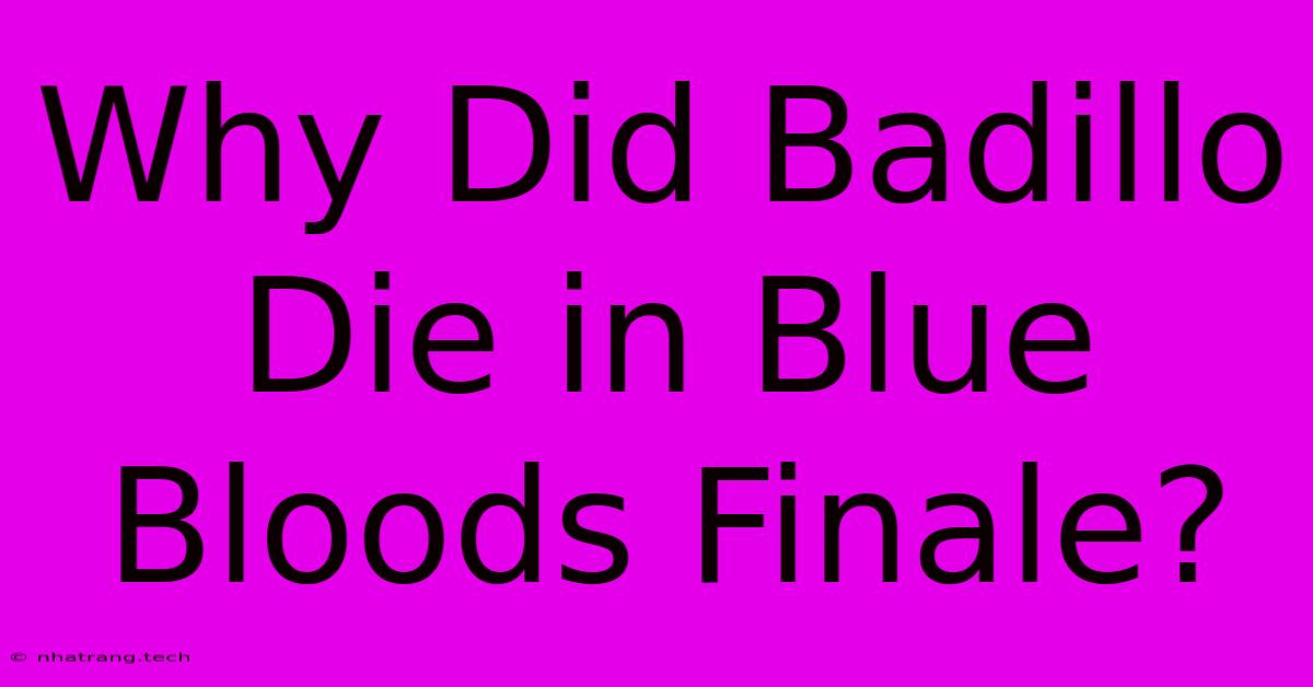 Why Did Badillo Die In Blue Bloods Finale? Why Did Badillo Die In Blue Bloods Finale?