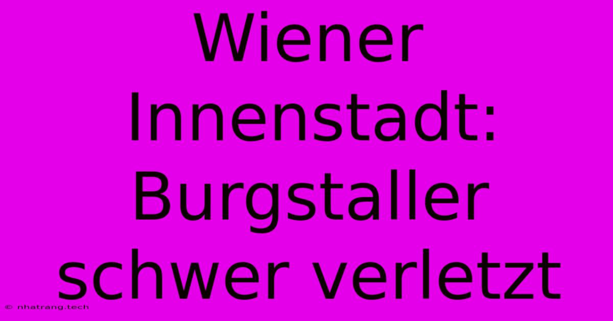 Wiener Innenstadt: Burgstaller Schwer Verletzt Wiener Innenstadt: Burgstaller Schwer Verletzt