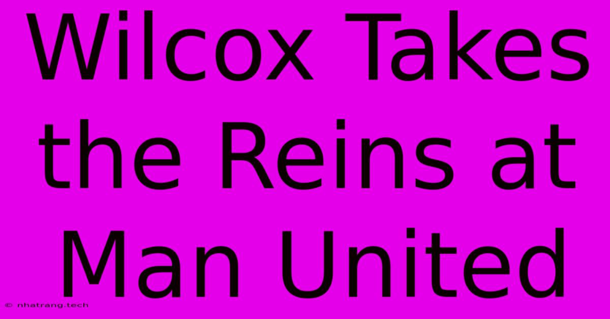 Wilcox Takes The Reins At Man United Wilcox Takes The Reins At Man United