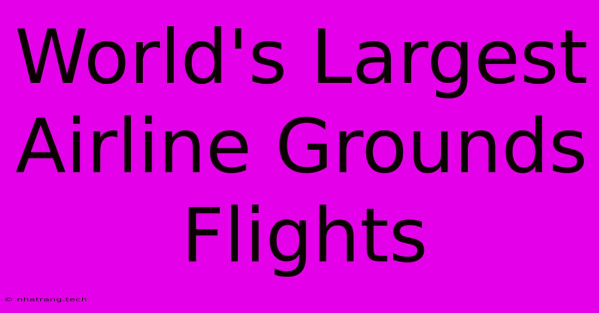 World's Largest Airline Grounds Flights