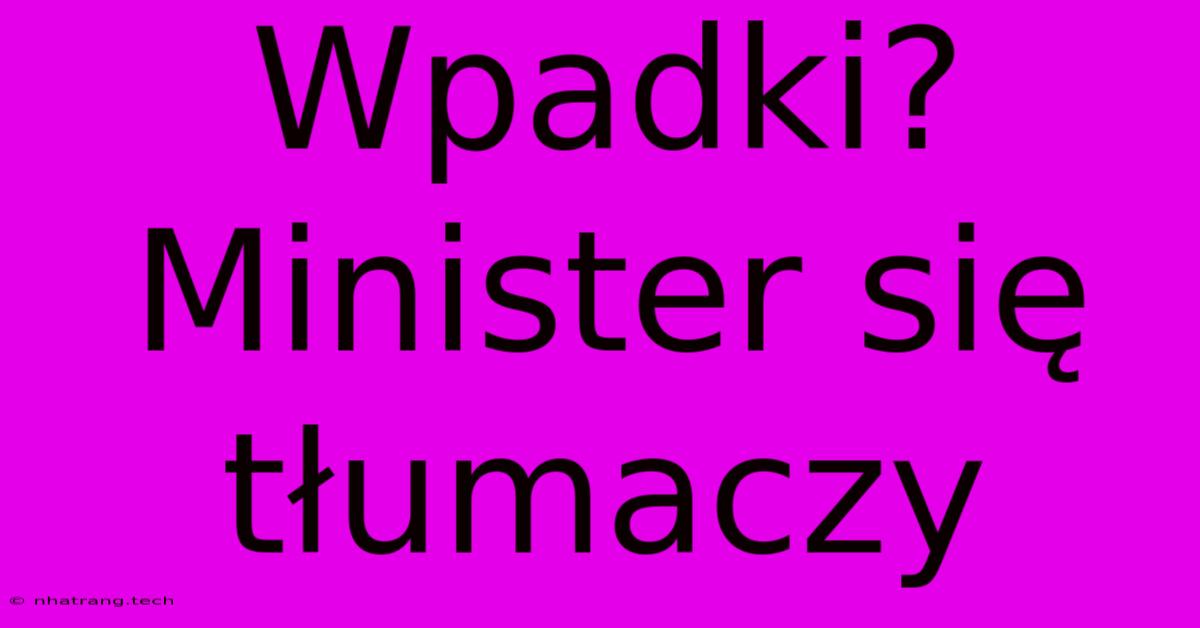 Wpadki? Minister Si臋 T艂umaczy Wpadki? Minister Si臋 T艂umaczy